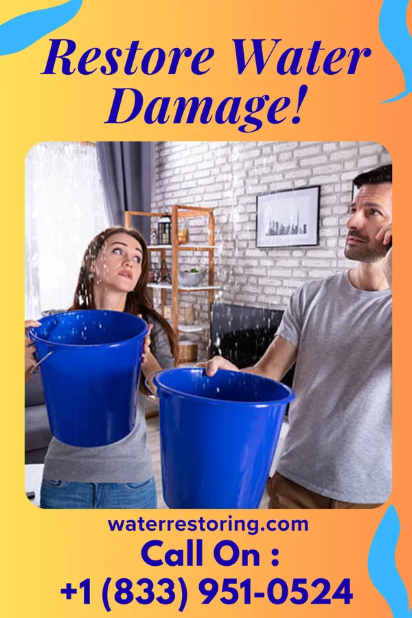 water restoration Local Damage Recovery Team Anthony