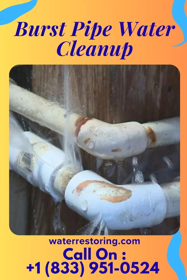 Burst Pipe Water Cleanup in Anthony, TX