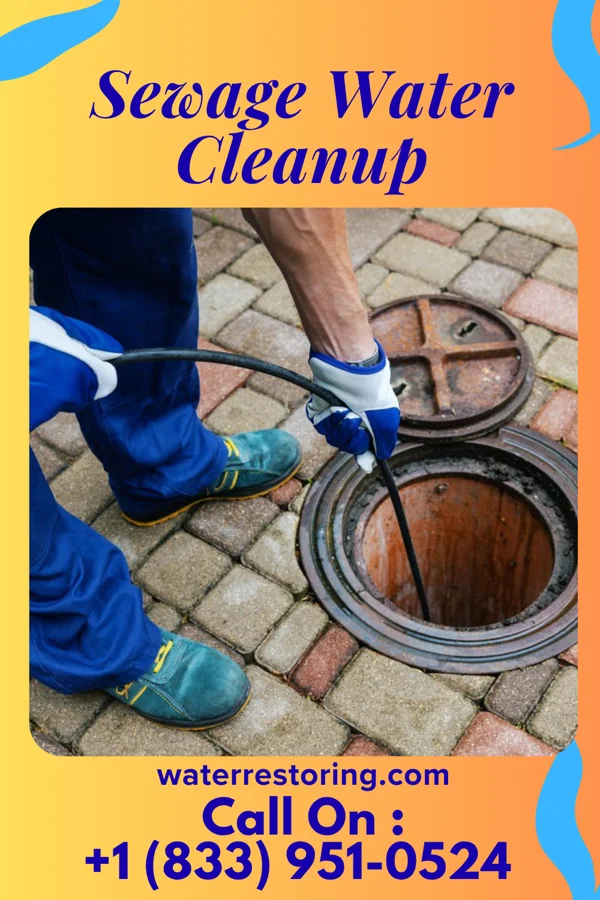 Sewage Water Cleanup in Anthony, TX